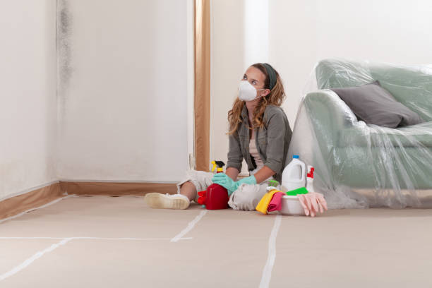 Reliable Mold Cleanup contractor in Miami Beach, FL by WQB Mold Removal